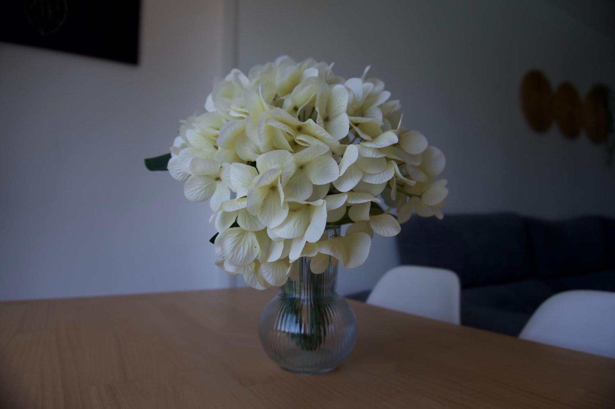 Apartamento Rio, Bonanza Apartment เบนัลมาเดนา ภายนอก รูปภาพ